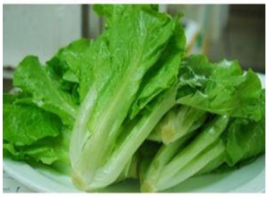 江西蔬菜价格
