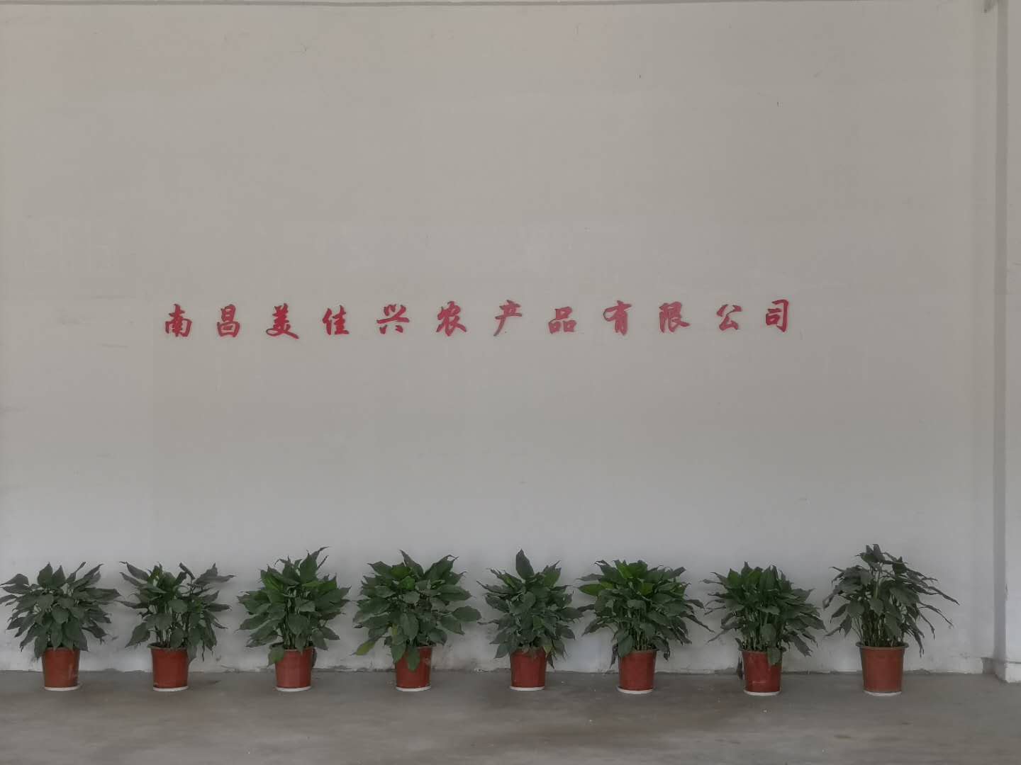 赣州公司环境