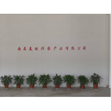 赣州公司环境